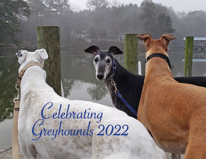 2022 Celebrating Greyhounds Wall Calendar